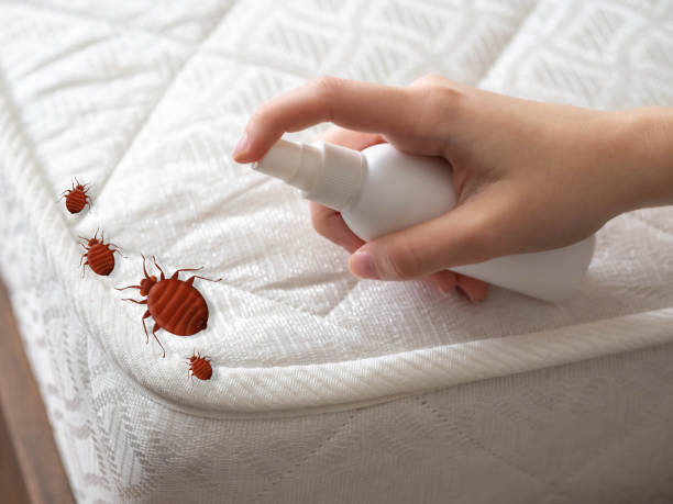 Professional Pest Control in Gretna, VA