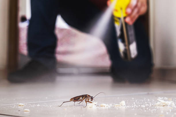 Best Cockroach Control Services  in Gretna, VA