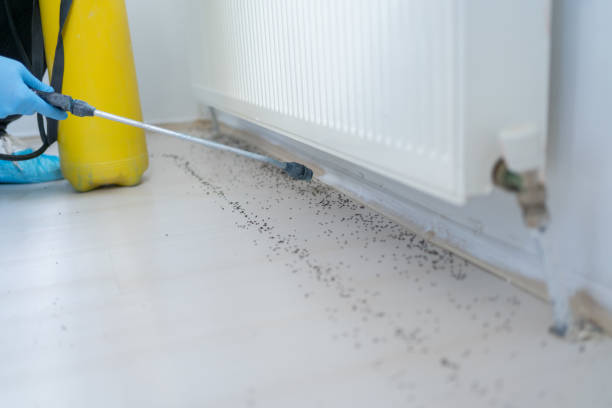 Best Pest Control Treatment  in Gretna, VA