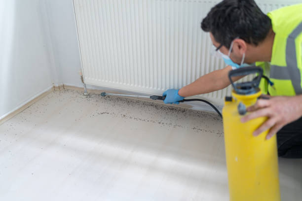 Best Pest Removal Services  in Gretna, VA